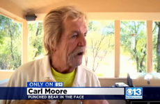An old man punched a bear in the face to save his tiny dog, is a legend