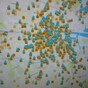 This amazing Vine shows just how busy Hailo is today
