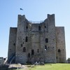 Ireland's largest Norman castle was built by a womaniser who ended up being decapitated