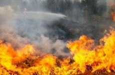 11 people have been prosecuted for starting wildfires in recent years