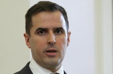 IDA boss didn't talk to the government before calling for a Yes vote