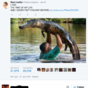 10 people who spectacularly failed at getting the joke