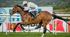 Ted Walsh just delivered an all-time classic line after the latest Faugheen masterclass