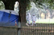 Homeless man found dead in Phoenix Park had €140,000 in his bank account