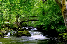This video of a Leitrim waterfall has lulled millions of people off to sleep