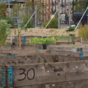 Food 'empathy' - how one city school got intimate with what it eats