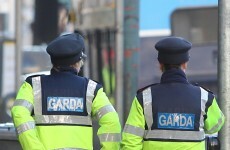 Garda left scarred and with PTSD after being hit by stolen car