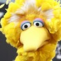 This real-life story about Big Bird will make you cry
