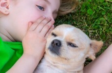 Children are more likely to turn to their pets than siblings during tough times