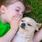 Children are more likely to turn to their pets than siblings during tough times