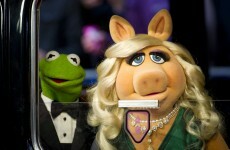 Big news: The Muppets are making a return to television