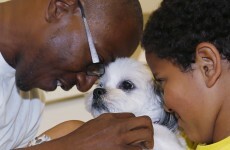 This pooch, missing for years, was found an awful long way from home