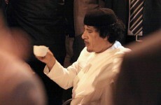 Rebels offer amnesty in attempt to hunt down Gaddafi