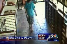 Risky business: Man steals snakes... by stuffing them in his shorts