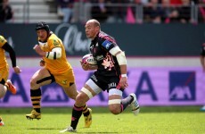 The red card Sergio Parisse picked up last weekend highlights one of rugby's daftest laws