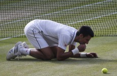12 strange habits that make Novak Djokovic the most interesting man in tennis