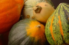 Squash and peas please: crops you can plant in May