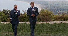 Red-haired 'fanatic' plotted to murder Prince Charles to make Prince Harry king