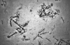 "Fascinating ... But it's not what we were looking for": Shipwreck found in search for MH370
