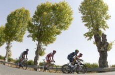 La Vuelta: Confusion on stage six as Sagan takes the win