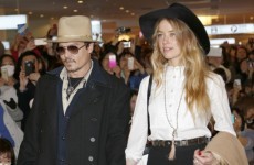 Johnny Depp's dogs are in a heap of trouble with Australia... it's The Dredge