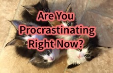 Are You Procrastinating Right Now?