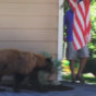 A man had a run-in with a bear... but it didn't end like you'd think