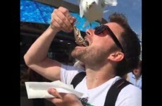 Here's why you shouldn't attempt to eat food anywhere near seagulls