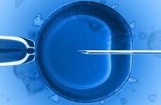 Why voting No won't tackle the ethical challenges around surrogacy or donor conception