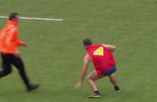 2/1 odds that this Top 14 steward is actually Batista working his day job