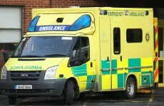 Driver dies after crash with minibus carrying 14 children