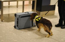 Port and airport customs seize nearly €9m in seven years
