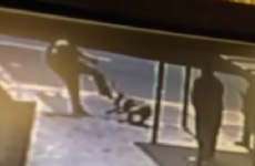 RSPCA looking for man who kicked dog in the head 'like a football'