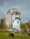 Pictures: The new lesbian mural placed on the side of a castle in Co Galway