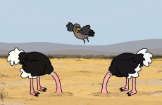 Sminky Shorts is back with this hilarious 'tornado' video