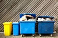 Meet the former accountant who dumpster dives and lives in New York City on $5,000 a year