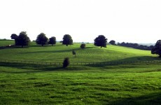 Over €220 million will be spent on rural programmes by 2020 - how much is your county getting?