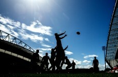 Ireland's 2023 RWC bid already has 40% of the vote, says Spring
