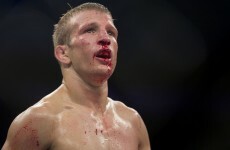 'I would beat either of them' - Dillashaw keen to face McGregor or Aldo