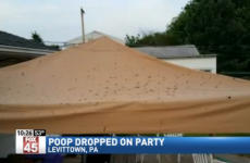A girl's Sweet Sixteen party was ruined by poo falling from the sky