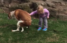 This little girl had some hilarious words of encouragement for her dog