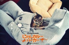 7 perfect gifts for the crazy cat lady in your life