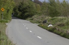 Body of man found at same location as abandoned baby Maria