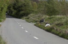 Murder investigation launched as body found at same location as abandoned baby Maria identified by gardaí