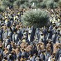 16 amazing photos from a penguinologist's lens