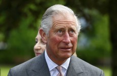 Hurling fan Prince Charles is surprised there aren't more injuries