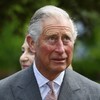 Hurling fan Prince Charles is surprised there aren't more injuries