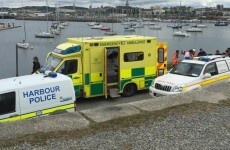 Quick-thinking pier walker rescues woman in water using a dog leash