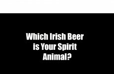 Which Irish Beer is Your Spirit Animal?