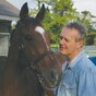 Irish horse charity appeals for people to join Buffy star in sponsoring animals